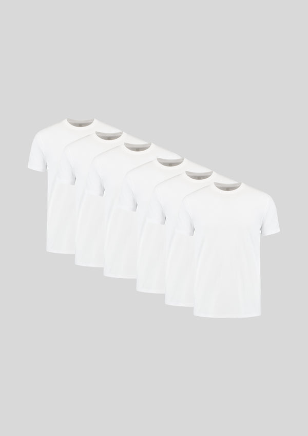 Wit 6-pack